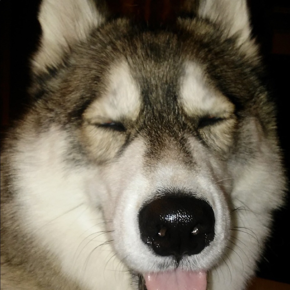 Meet your Posher, Kelsey